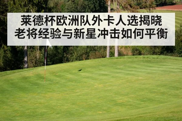 莱德杯欧洲队外卡人选揭晓 老将经验与新星冲击如何平衡